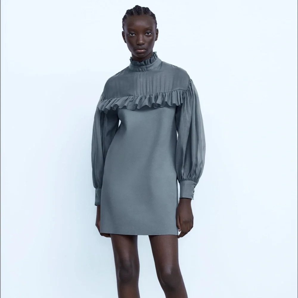 NWT ZARA ORGANZA DRESS